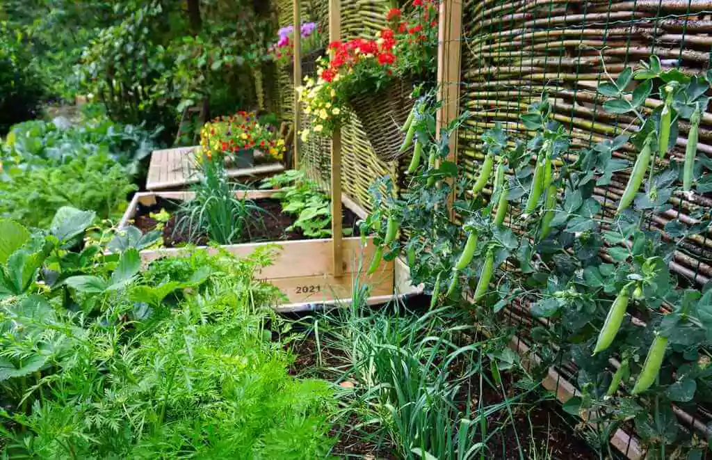 genius garden hacks