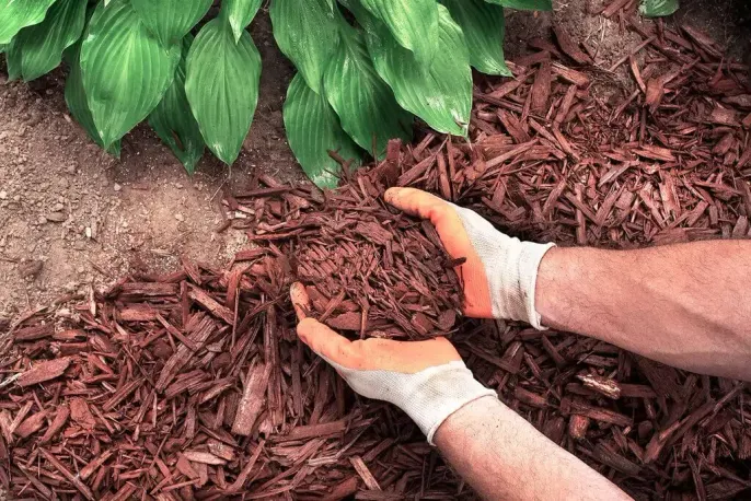top gardening hacks