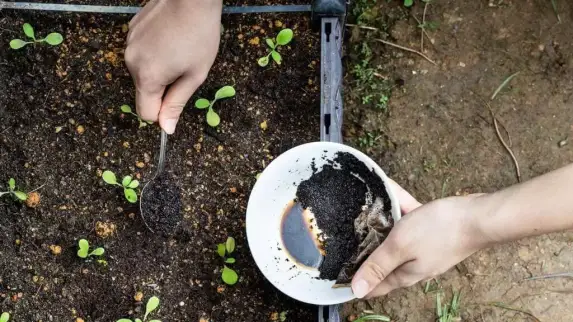 gardening hacks