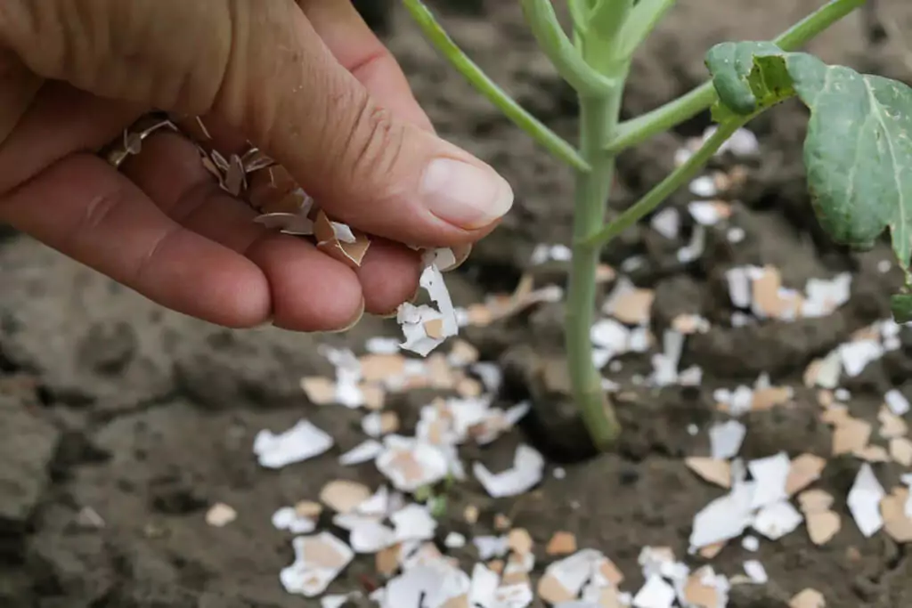gardening hacks