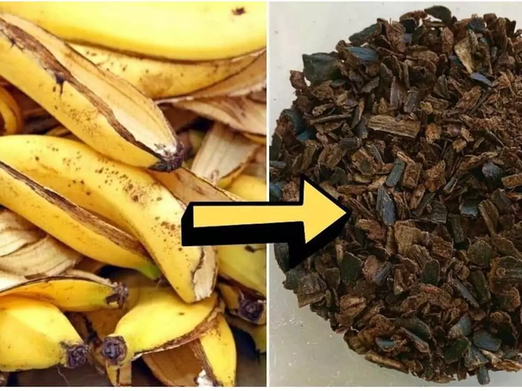 clever garden hacks
