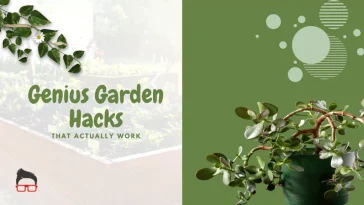 diy cheap creative garden edging ideas