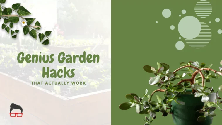 diy cheap creative garden edging ideas