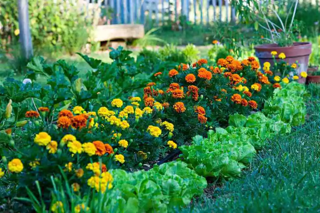 diy creative garden ideas