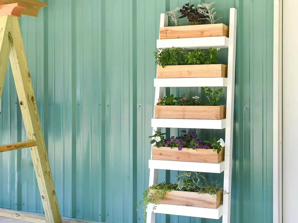 ladder garden ideas