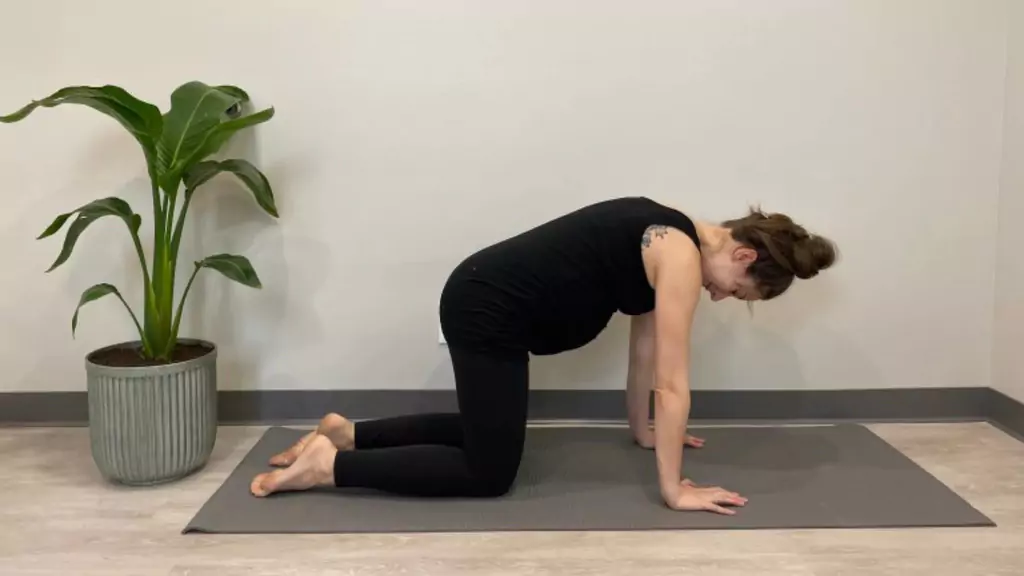Yoga Poses for Pregnant Women