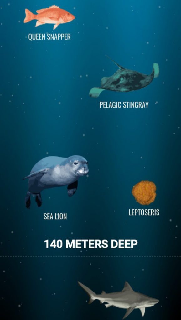 bottom of the ocean