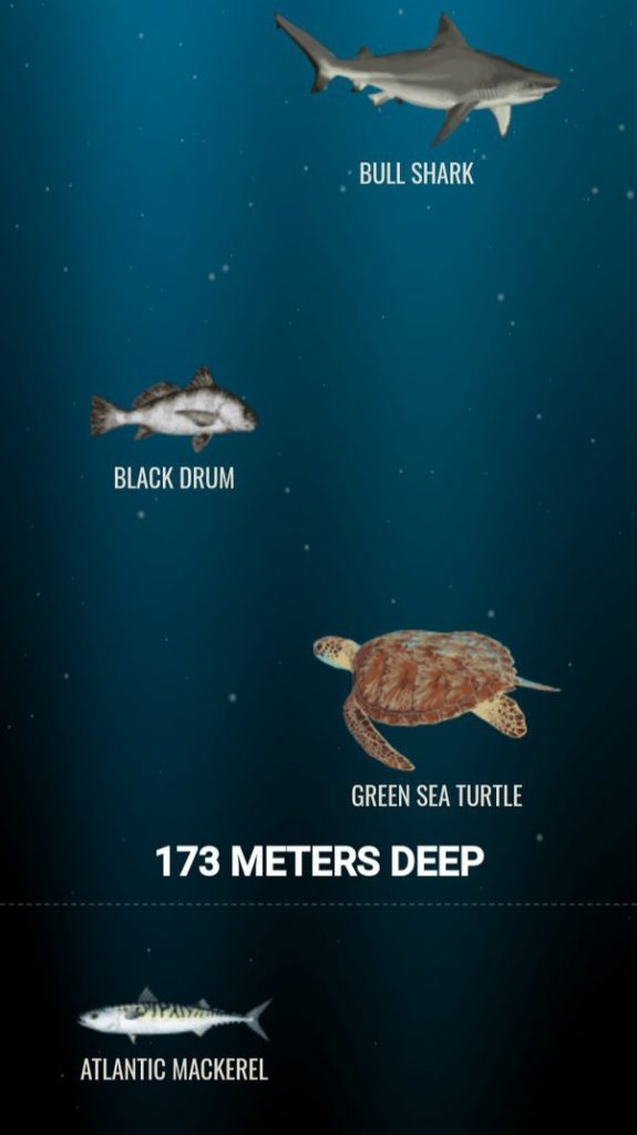 bottom of the ocean