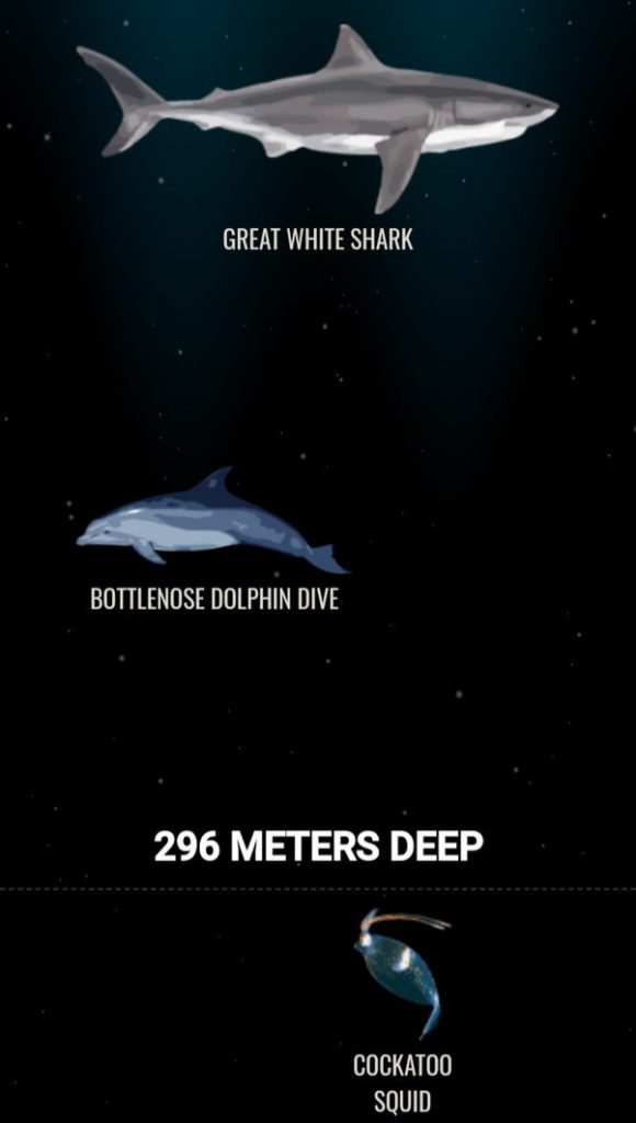 bottom of the ocean