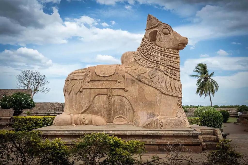 How Powerful Is Nandi Bull