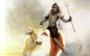 How Powerful Is Nandi Bull