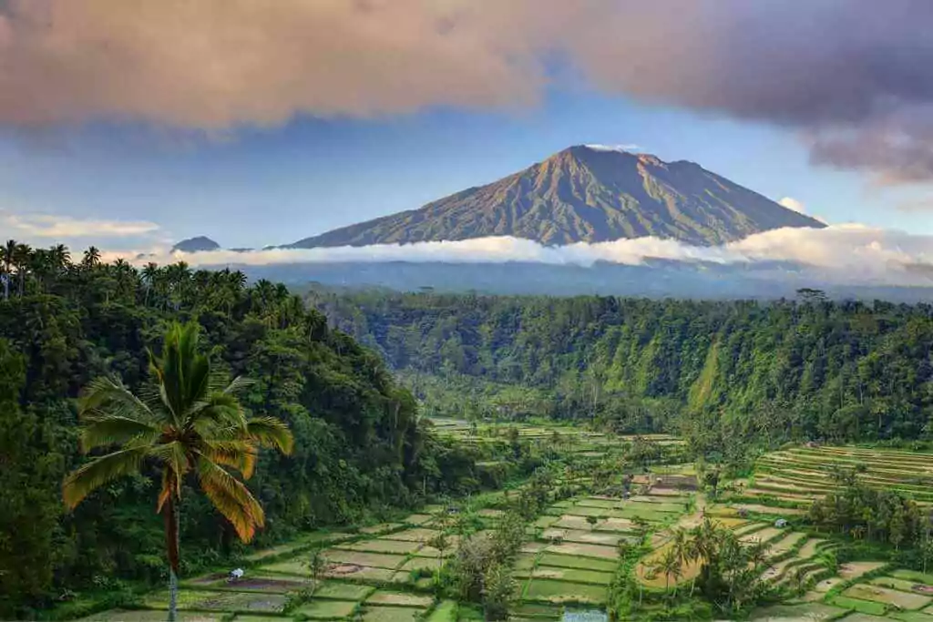 Best to visit for indian in bali