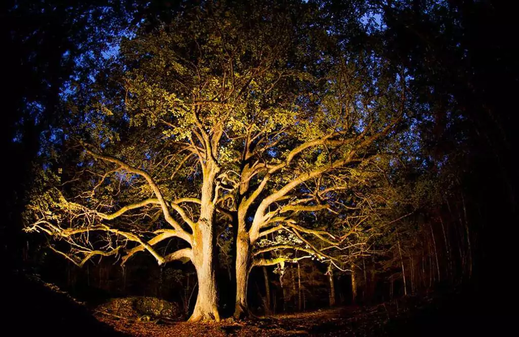 haunted places in gujarat ahmedabad