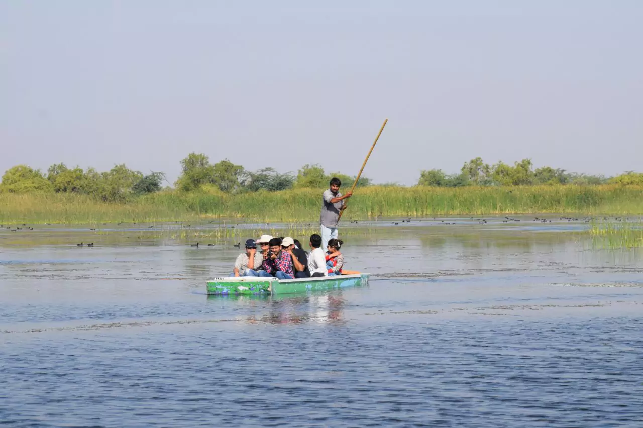 nal sarovar bird sanctuary photos