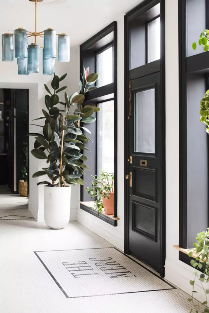lucky plants for home