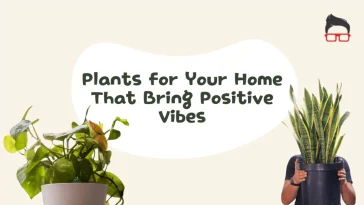lucky plants for home