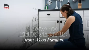how to remove mold from wood