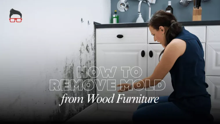 how to remove mold from wood