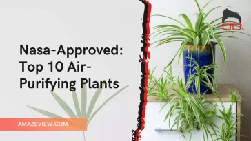 nasa top 10 air purifying plants