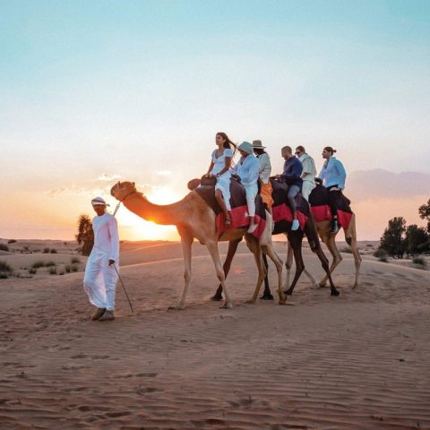 Desert Safari in Dubai - Best Desert Safari Packages and deals