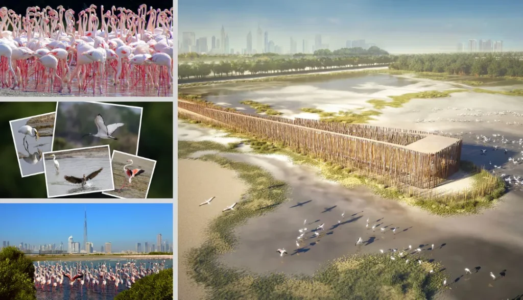 Ras Al Khor Wildlife Sanctuary