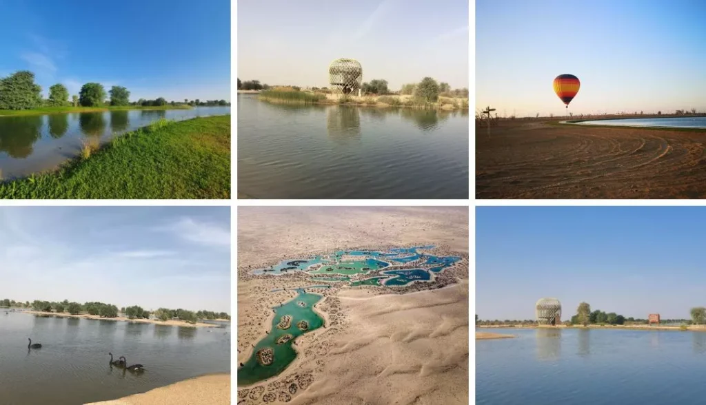 Banks of Al Qudra Lakes