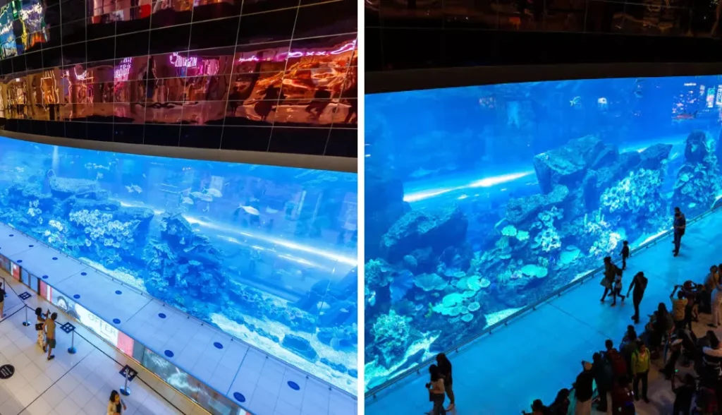 Dubai Aquarium Viewing Panel free to visit