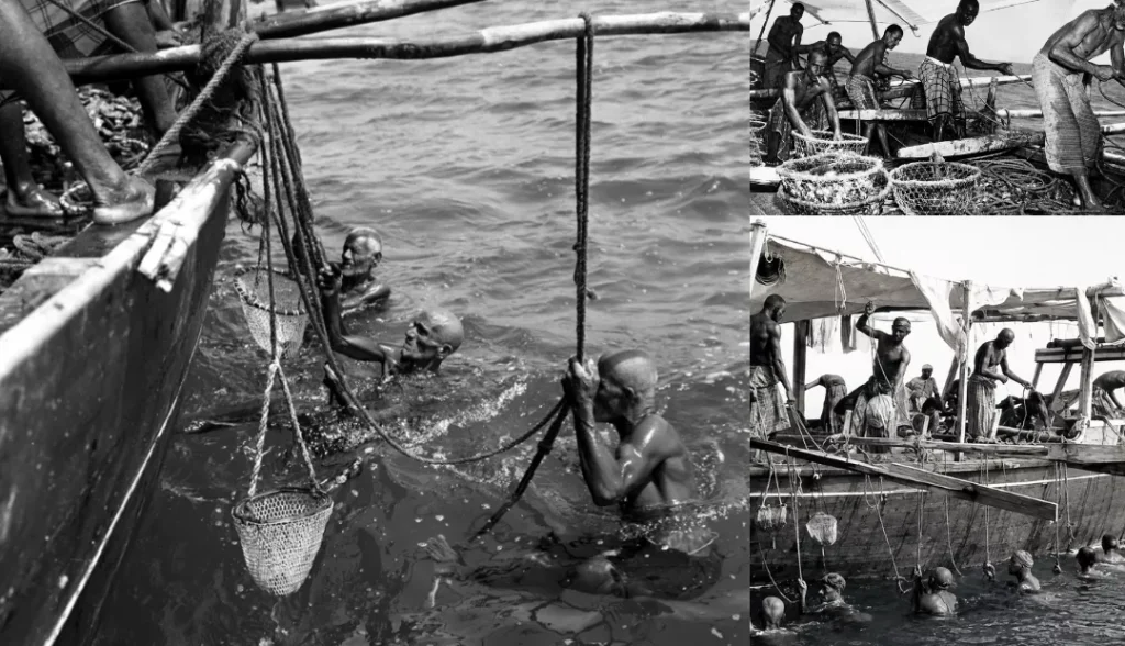 History of Pearl Diving in the UAE