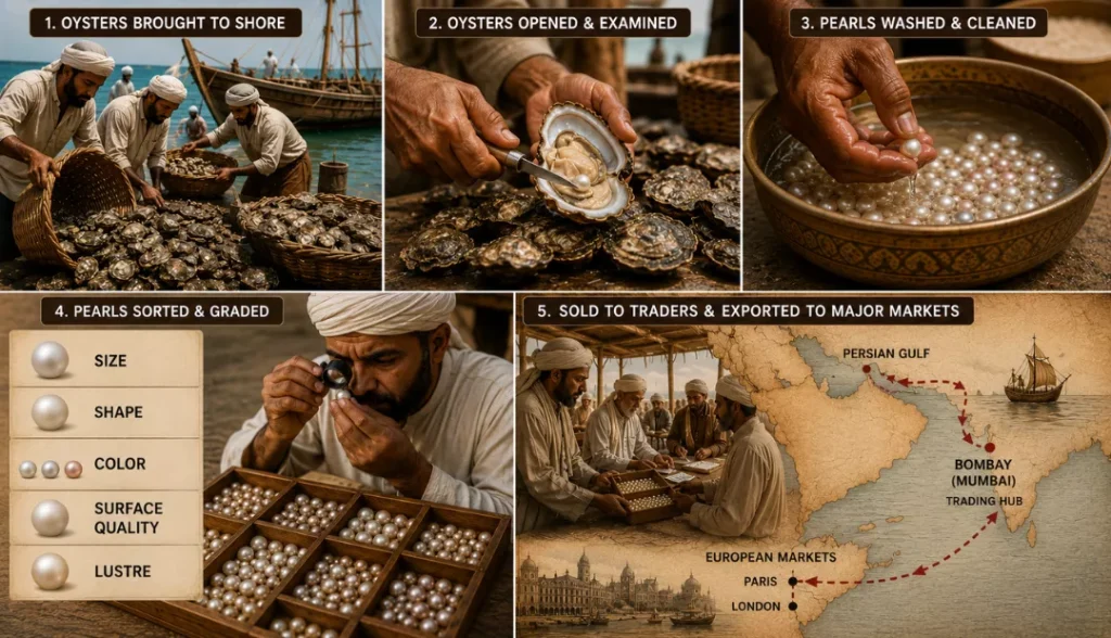 How were Pearls Collected, Sorted, and Sold