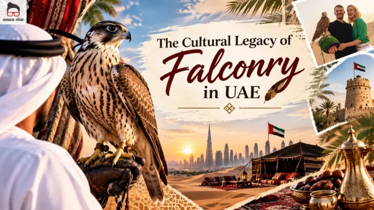 Falconry in UAE